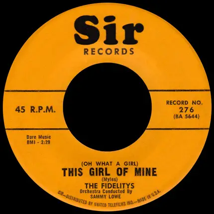 The Fidelity's - (Oh What A Girl) This Girl Of Mine