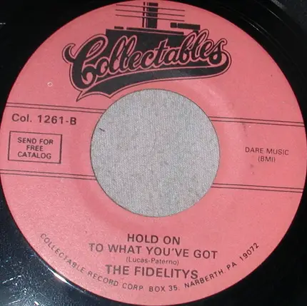 The Fidelity's - Hold On To What You've Got / The Things I Love