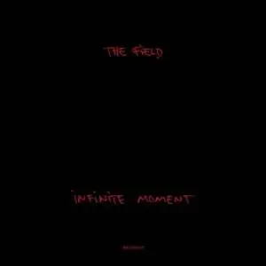 The Field - Infinite Moment
