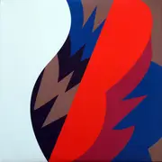 LP-Box - The Fiery Furnaces - Remember - Gatefold, Still Sealed