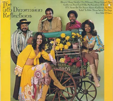The Fifth Dimension - Reflections