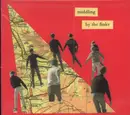 CD - The Finks - Middling
