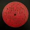 12inch Vinyl Single - The Fly Insect - Decay EP - EP, LTD ED
