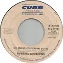 7inch Vinyl Single - The Flying Burrito Bros - She Belongs To Everyone But Me