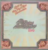 The Flying Burrito Brothers - The Last Of The Red Hot Burritos