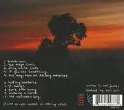 CD - The Flying Change - Pain Is A Reliable Signal - Digipak