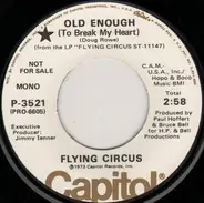 The Flying Circus - Old Enough (To Break My Heart)