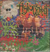 Son-Art / Tropical ‎