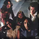 CD - The Flamin' Groovies - Flamingo