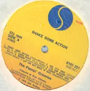LP - The Flamin' Groovies - Shake Some Action