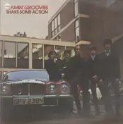 The Flamin' Groovies - Shake Some Action