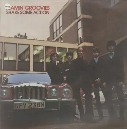 Flamin' Groovies - Shake Some Action
