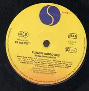 LP - The Flamin' Groovies - Shake Some Action