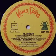 Double LP - The Flamin' Groovies - 2 Original LP's