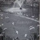 LP - The Flamingos - Dream of a Lifetime