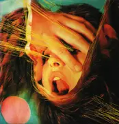 Double LP & CD - The Flaming Lips - Embryonic - Yellow / Blue Marbled Vinyl