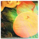 CD - The Flaming Lips - Embryonic - Cardboard sleeve