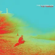 LP-Box - The Flaming Lips - The Terror - incl. 7' and CD