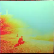 Double LP - The Flaming Lips - The Terror - Silver Vinyl Limited Edition