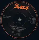 12inch Vinyl Single - The Flaming Mussolinis - Swallow Glass (Extended Remix)