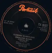 The Flaming Mussolinis - Swallow Glass (Extended Remix)