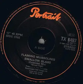 The Flaming Mussolinis - Swallow Glass (Extended Remix)
