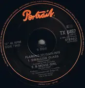 12inch Vinyl Single - The Flaming Mussolinis - Swallow Glass (Extended Remix)