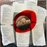 LP - The Flatliners - New Ruin - Orangle in Clear Vinyl, Poster