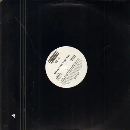 The Flavor Unit MCs - Roll Wit Tha Flava (Remixes)