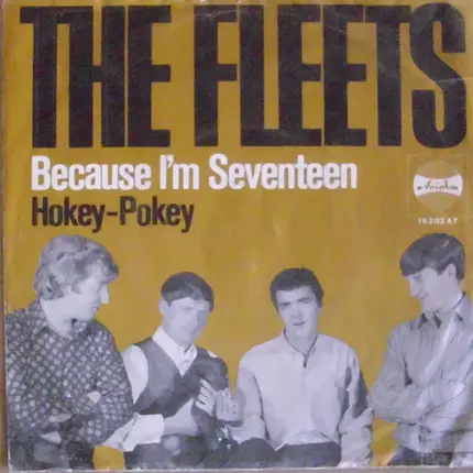 The Fleets - Because I´m Seventeen