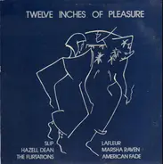 The Flirtations, Hazell Dean, Marsha Raven, Slip a.o. - Twelve Inches Of Pleasure / Don't Leave Me This Way