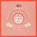 12inch Vinyl Single - The Flirts - Passion (Special R.E.M.I.X.E.D. Disco Version)