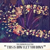 The Franklin Electric - "This Is How I Let You Down"