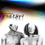 CD - The Front Bottoms - Going Grey
