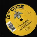 12inch Vinyl Single - The Funeka And 1st Witness - Colours