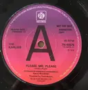 7inch Vinyl Single - The Karlins - Please Mr Please