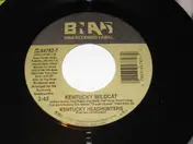 The Kentucky Headhunters - Singin' The Blues