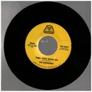 7inch Vinyl Single - The kingsmen - Turn your radio on
