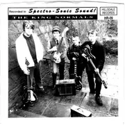 7inch Vinyl Single - The King Normals - Sugar Baby