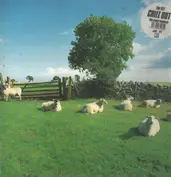 The KLF