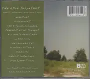 CD - The Kyle Sowashes - What's Important (And What's Not)