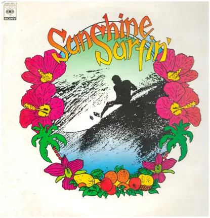 The Hot Doggers / The Rip Chords a.o. - Sunshine Surfin' Sound