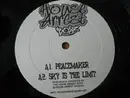 12inch Vinyl Single - The House Arrest Boyz - Peacemaker / Sky Is The Limit