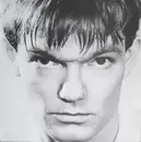 12inch Vinyl Single - The House Of Love - Christine