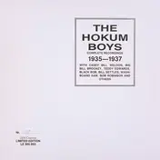 Hokum Boys - Complete Recordings 1935-1937