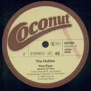 12inch Vinyl Single - The Hollies - Shine Silently (Special 12' Mix)