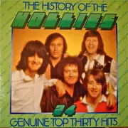 Double LP - The Hollies - The History Of The Hollies - 24 Genuine Top Thirty Hits