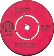 The Honeycombs - Is It Because?