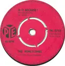 7inch Vinyl Single - The Honeycombs - Is It Because?