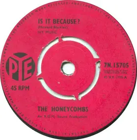 The Honeycombs - Is It Because?